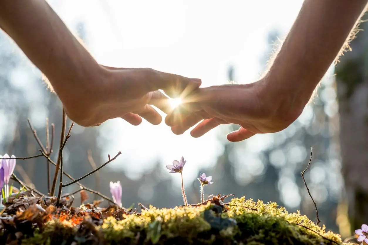 qtq80-4YxXWd Hands hovering over small purple flowers and moss, with sunlight filtering through fingers in a natural outdoor setting.